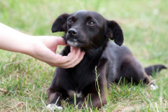 phoca_thumb_l_IMG_7463_resize