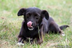 phoca_thumb_l_IMG_7464_resize
