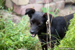 phoca_thumb_l_IMG_7490_resize