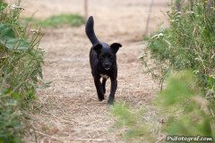 phoca_thumb_l_IMG_7510_resize