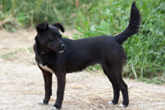 phoca_thumb_l_IMG_7518_resize
