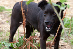 phoca_thumb_l_IMG_7554_resize