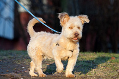 phoca_thumb_l_IMG_8778_resize
