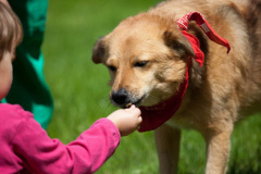 phoca_thumb_l_IMG_5123_resize