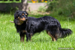 phoca_thumb_l_IMG_5163_resize