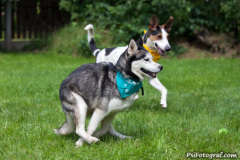 phoca_thumb_l_IMG_5230_resize