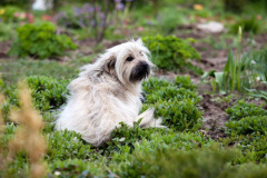 phoca_thumb_l_IMG_2698_resize