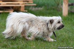 phoca_thumb_l_IMG_2707_resize