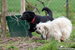 phoca_thumb_l_IMG_2723_resize