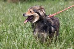 phoca_thumb_l_IMG_4846_resize