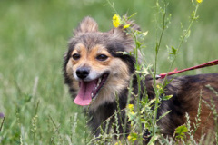 phoca_thumb_l_IMG_4873_resize