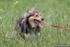 phoca_thumb_l_IMG_4874_resize