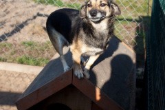 phoca_thumb_l_IMG_7590_resize