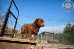 phoca_thumb_l_IMG_7619_resize