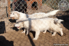 phoca_thumb_l_IMG_7626_resize