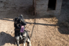 phoca_thumb_l_IMG_7683_resize