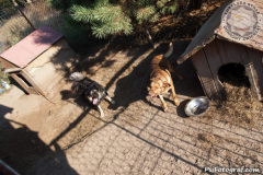 phoca_thumb_l_IMG_7697_resize