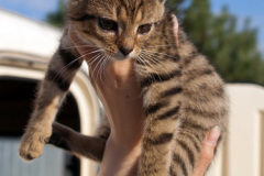 phoca_thumb_l_IMG_7719_resize