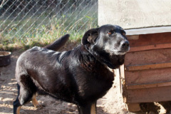 phoca_thumb_l_IMG_7735_resize