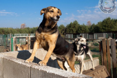 phoca_thumb_l_IMG_7745_resize