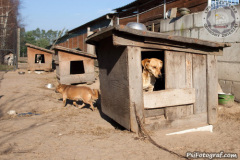 phoca_thumb_l_IMG_7752_resize