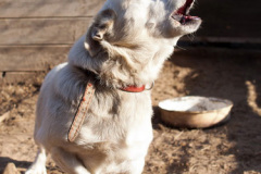 phoca_thumb_l_IMG_7765_resize