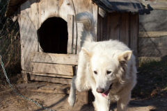 phoca_thumb_l_IMG_7779_resize