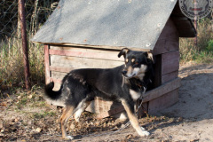 phoca_thumb_l_IMG_7787_resize