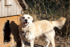 phoca_thumb_l_IMG_7829_resize