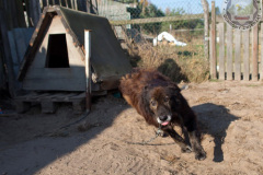 phoca_thumb_l_IMG_7838_resize