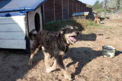 phoca_thumb_l_IMG_7850_resize