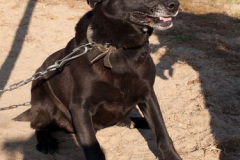 phoca_thumb_l_IMG_7873_resize