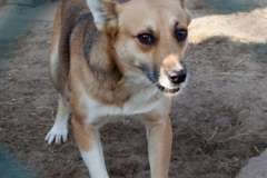 phoca_thumb_l_IMG_7889_resize