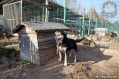 phoca_thumb_l_IMG_7904_resize