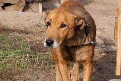 phoca_thumb_l_IMG_7924_resize