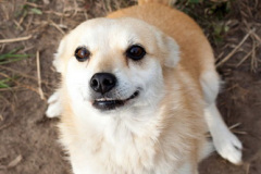 phoca_thumb_l_IMG_7938_resize