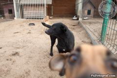 phoca_thumb_l_IMG_7951_resize