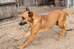 phoca_thumb_l_IMG_7956_resize