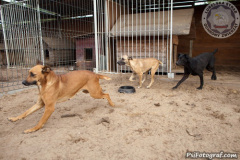 phoca_thumb_l_IMG_7959_resize