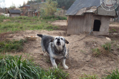 phoca_thumb_l_IMG_7964_resize