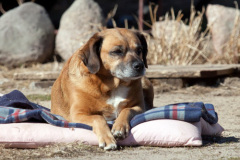 phoca_thumb_l_IMG_2396_resize