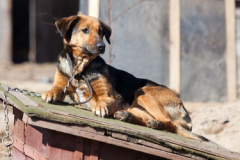 phoca_thumb_l_IMG_2400_resize