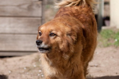 phoca_thumb_l_IMG_2412_resize