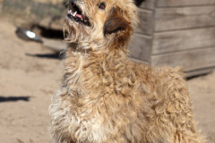 phoca_thumb_l_IMG_2426_resize