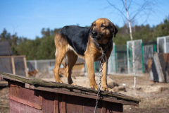 phoca_thumb_l_IMG_2496_resize