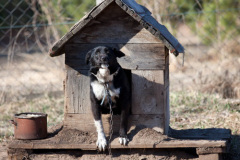 phoca_thumb_l_IMG_2575_resize