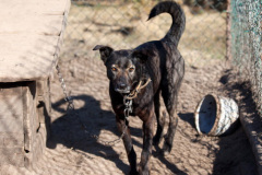phoca_thumb_l_IMG_2653_resize