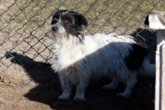 phoca_thumb_l_IMG_2654_resize