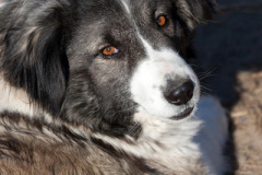 phoca_thumb_l_IMG_2676_resize