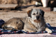 phoca_thumb_l_IMG_2693_resize